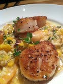 Maine Sea Scallops